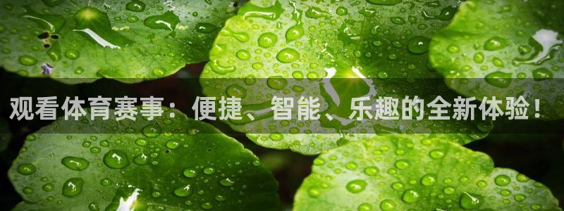 ng28怎么注册账号：观看体育赛事：便捷、智能、乐趣的全新体验！