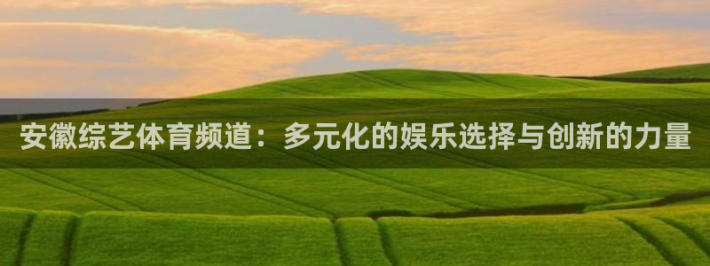 ng28相信品牌的力量官网：安徽综艺体育频道：多元化的娱乐选择与创新的力量